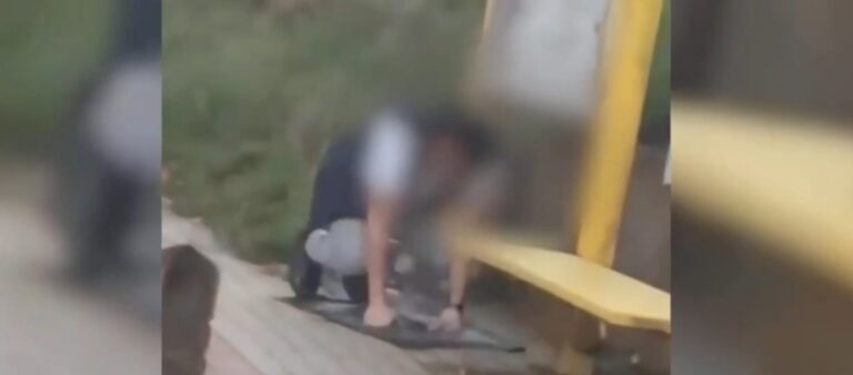 Un sitio de citas del Reino Unido ofrece a los hombres musulmanes encontrar mujeres vírgenes, dóciles y abiertas a la poligamia 7 NikkahGram se creó para "facilitar el matrimonio de musulmanes que siguen los valores islámicos fundamentales de la modestia y el sometimiento a Alá sin excusas". Conductor de autobús musulmán en Bélgica detiene el servicio para rezar