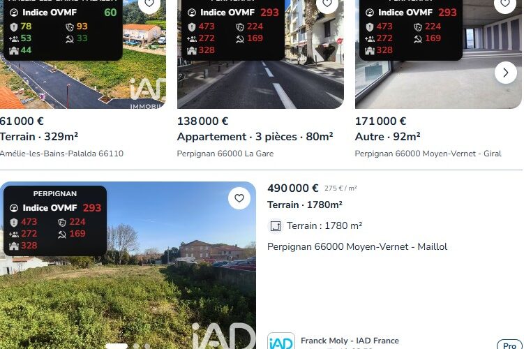 Una extensión de navegador muestra el grado de inmigración, criminalidad, islamización y wokismo en los anuncios inmobiliarios de Francia